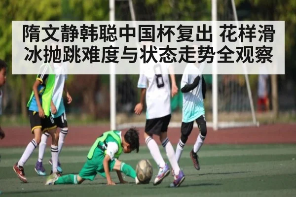 隋文静韩聪中国杯复出 花样滑冰抛跳难度与状态走势全观察 - NG28
