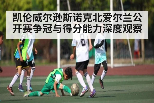 凯伦威尔逊斯诺克北爱尔兰公开赛争冠与得分能力深度观察 - NG28